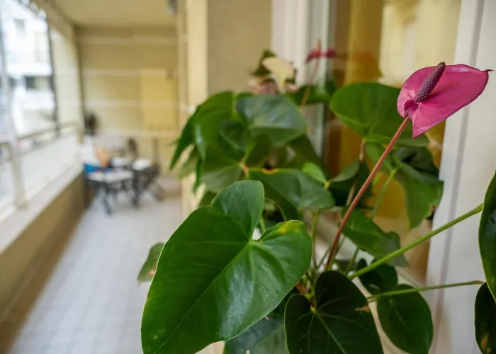 Souvenir 7 Appartement